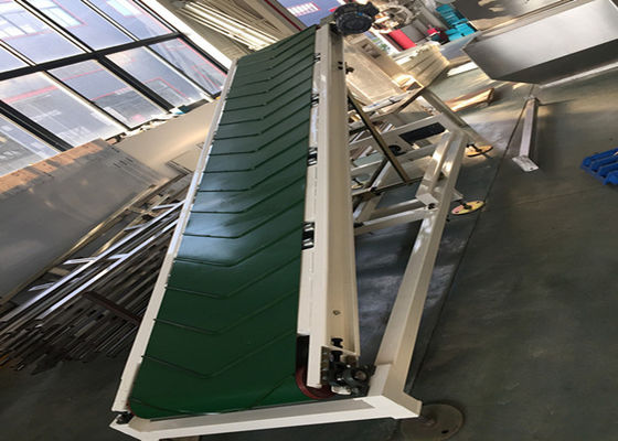 Palletizing транспортер IP65